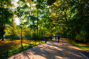 Similar image 22325479