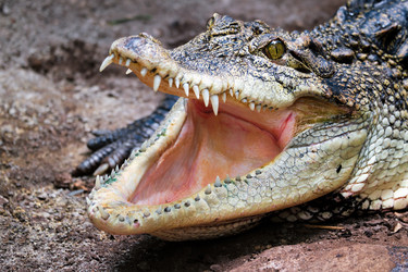 Similar image 22324728