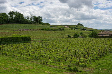 Similar image 22323899