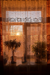 Similar image 22323623