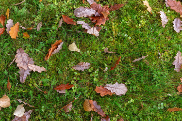 Similar image 22326986