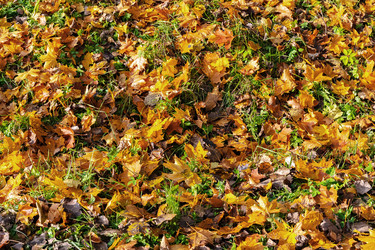 Similar image 22326988