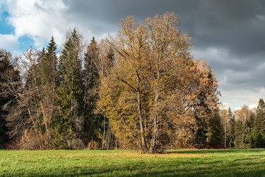 Similar image 22326989