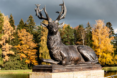 Similar image 22326990