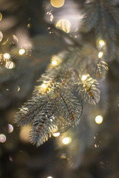 Similar image 22326929