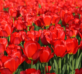 Similar image 22327055