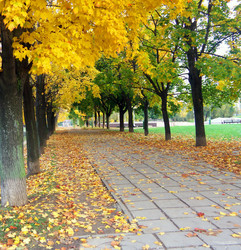 Similar image 22327067