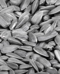 Similar image 22327096