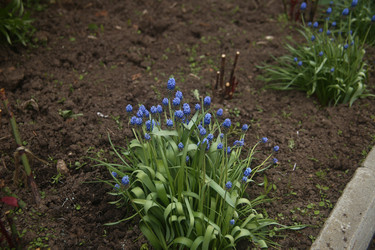 Similar image 22327221