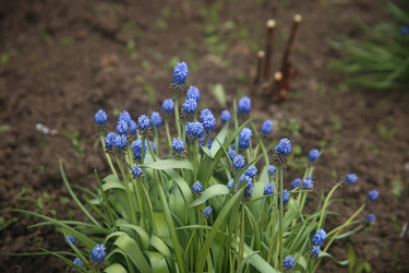 Similar image 22327222