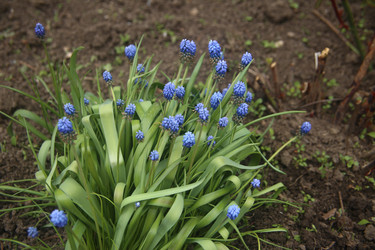 Similar image 22327223