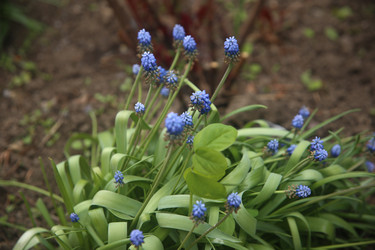 Similar image 22327224