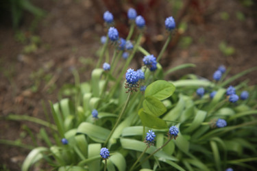 Similar image 22327225