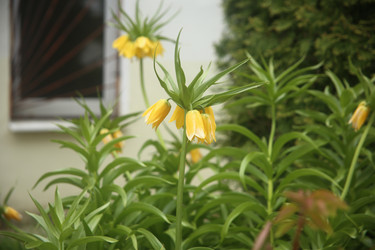 Similar image 22327226