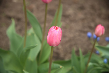 Similar image 22327228