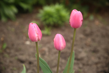 Similar image 22327229