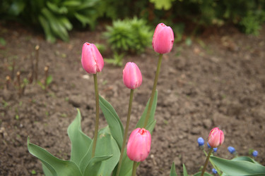 Similar image 22327231