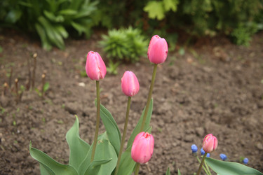 Similar image 22327232