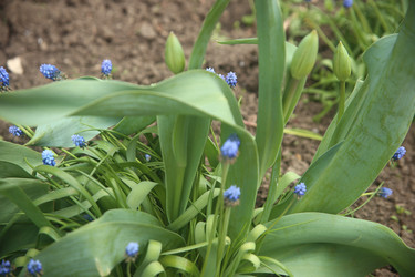 Similar image 22327234