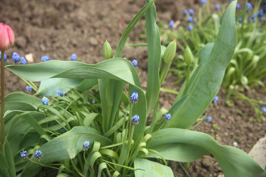 Similar image 22327235