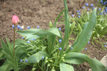 Similar image 22327236