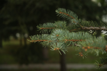 Similar image 22331865