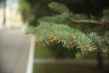 Similar image 22331866