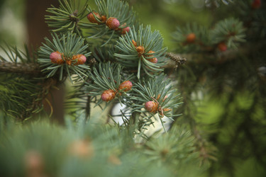 Similar image 22331868