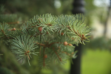 Similar image 22331869