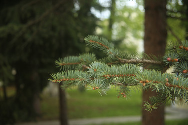 Similar image 22331870