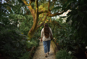 Similar image 22326946