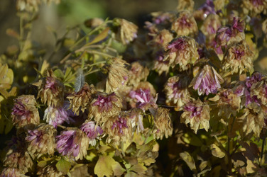 Similar image 22327074