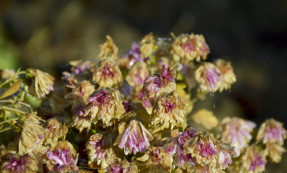 Similar image 22326992