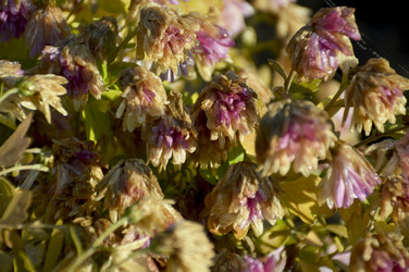 Similar image 22326993