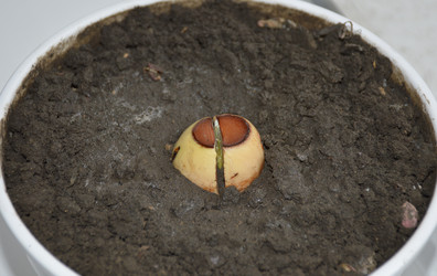 Similar image 22326999