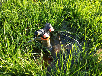 Similar image 22327004