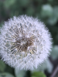 Similar image 22326949