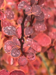 Similar image 22326950