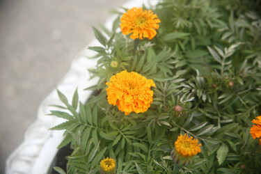 Similar image 22327237