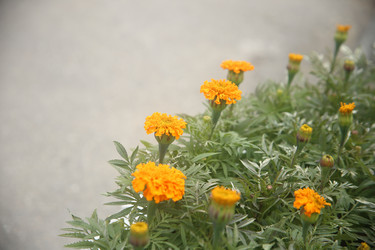 Similar image 22327238