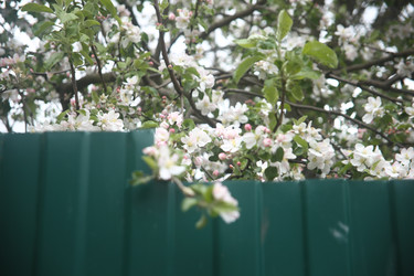 Similar image 22327239