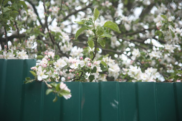 Similar image 22327240