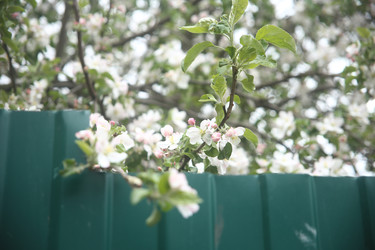 Similar image 22327241