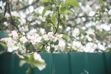 Similar image 22327242