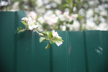 Similar image 22327243