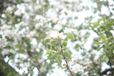 Similar image 22327244