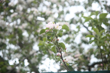 Similar image 22327245