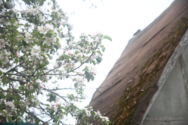 Similar image 22327246