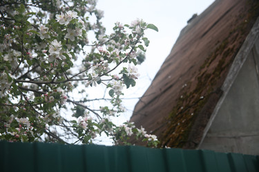 Similar image 22327247