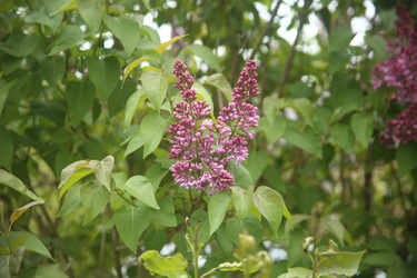 Similar image 22327249